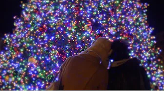 Holiday Sexual